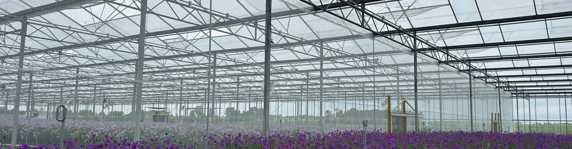 Project Spotlight: Insect netting filter at Florensis
