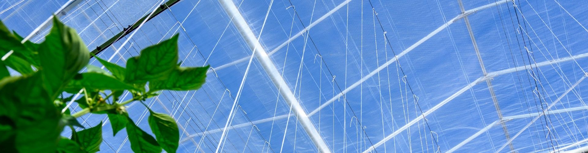Diamond Energy Screen: Maximum Light Utilisation with Energy Saving