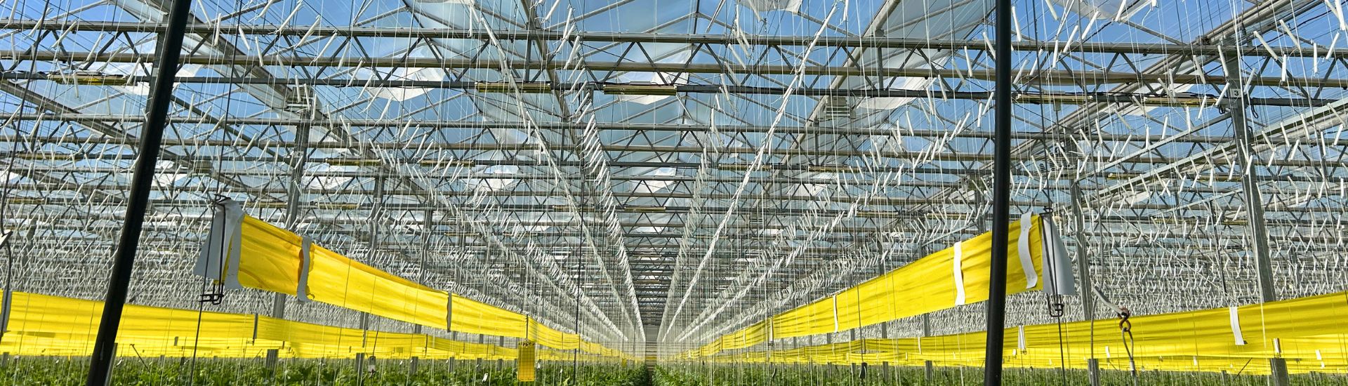 Vitarom beschermt hun gewassen met insectengaas filtersysteem.