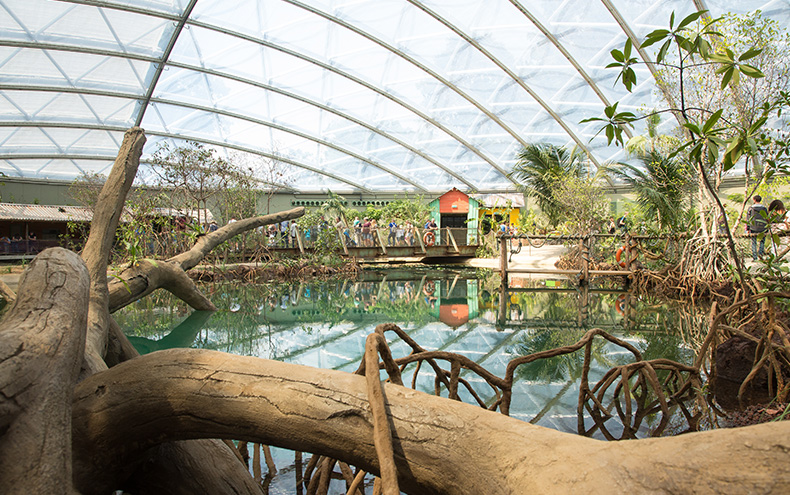 Burgers' Zoo